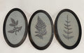 Leaf Triptych Wall Art (Set of 3)